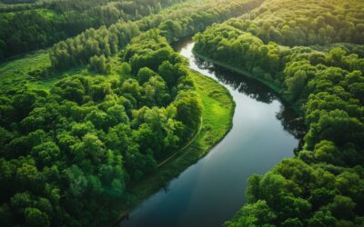 How Wastewater Treatment Systems Protect the Environment Year-Round